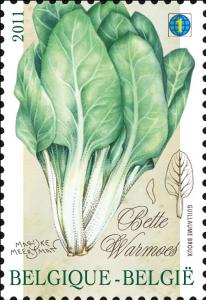 Colnect-679-706-Vegetables-of-the-past-Bette---Warmoes.jpg