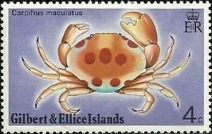 Colnect-1103-600-Spotted-Reef-Crab-Carpilius-maculatus.jpg