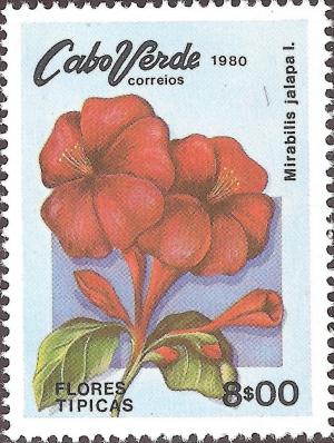 Colnect-1124-922-Marvel-of-Peru-Mirabilis-Jalapa.jpg