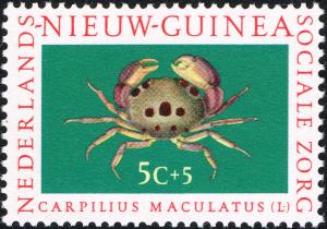 Colnect-2222-436-Spotted-Reef-Crab-Carpilius-maculatus.jpg