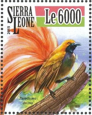 Colnect-3566-033-Goldie-s-Bird-of-paradise---Paradisaea-decora.jpg