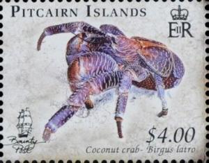 Colnect-4002-732-Side-view-of-Coconut-Crab-Birgus-latro.jpg