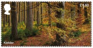 Colnect-6012-075-Glenariff-Forest-Kielder-Forest.jpg