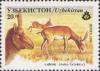 Colnect-197-199-Saiga-Saiga-tatarica.jpg