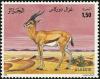 Colnect-2495-727-Dorcas-Gazelle-Gazella-dorcas.jpg