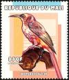 Colnect-2606-931-Cape-Sugarbird-Promerops-cafer.jpg