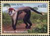 Colnect-2618-510-Collared-Mangabey-Cercocebus-torquatus-.jpg