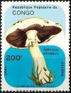 Colnect-2944-276-Agaricus-arvensis.jpg