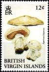 Colnect-2958-471-Agaricus-bisporus.jpg