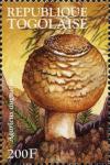 Colnect-3255-528-Agaricus-augustus.jpg