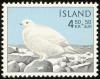 Colnect-3708-165-Rock-Ptarmigan-Lagopus-mutus---Winter.jpg