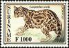 Colnect-4994-987-Margay-Leopardus-wiedi.jpg