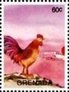 Colnect-5983-349-Rooster-Gallus-gallus-domesticus.jpg