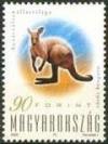 Colnect-708-426-Red-Kangaroo-Macropus-rufus-.jpg