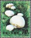 Colnect-787-460-Agaricus-bisporus.jpg