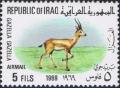 Colnect-1536-109-Mountain-Gazelle-Gazella-gazella-.jpg