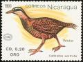 Colnect-1624-532-Weka-Gallirallus-australis.jpg