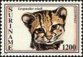 Colnect-4994-988-Margay-Leopardus-wiedi.jpg