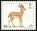 Colnect-5825-241-Mountain-Gazelle-Gazella-gazella-.jpg