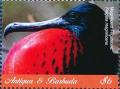 Colnect-6359-401-Magnificent-Frigatebird---Fregata-magnificens.jpg