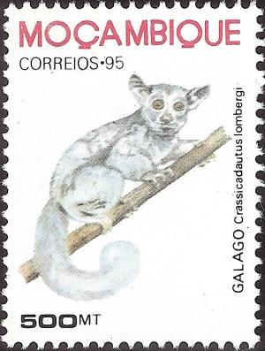 Colnect-1122-737-Brown-Greater-Galago-Otolemur-crassicaudatus.jpg