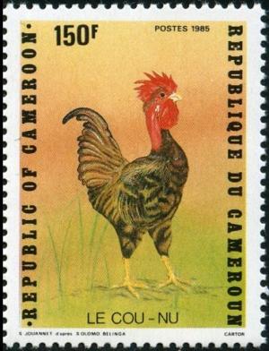 Colnect-1231-576-Rooster-Gallus-gallus-domesticus.jpg