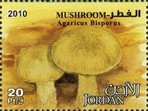 Colnect-1815-309-Agaricus-Bisporus.jpg