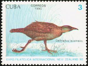 Colnect-2133-221-Weka-Gallirallus-australis.jpg