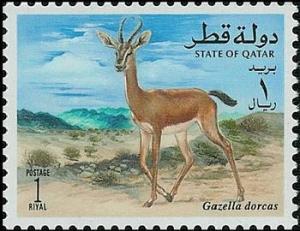 Colnect-2189-790-Dorcas-Gazelle-Gazella-dorcas.jpg