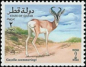 Colnect-2189-792-Soemmerring-s-Gazelle-Gazella-soemmerringii.jpg