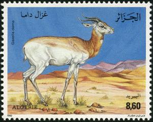 Colnect-2495-729-Dama-Gazelle-Gazella-dama.jpg