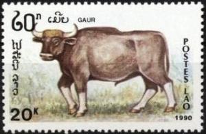 Colnect-2852-837-Gaur-Bos-gaurus.jpg