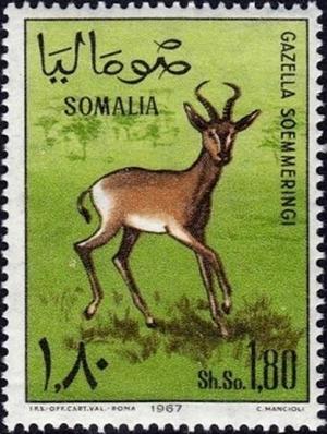 Colnect-3016-574-Soemmerring-s-Gazelle-Gazella-soemmerringii.jpg