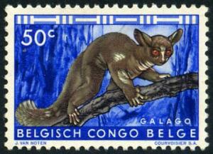 Colnect-4439-940-Brown-Greater-Galago-Otolemur-crassicaudatus.jpg