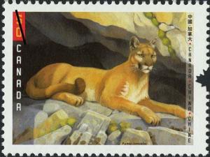 Colnect-573-869-Cougar-Felis-concolor.jpg