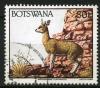 Colnect-1407-745-Klipspringer-Oreotragus-oreotragus.jpg