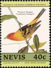 Colnect-1646-379-Western-Tanager-nbsp-Piranga-ludoviciana.jpg