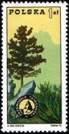 Colnect-1989-672-Pinebadge-and-Tatra-Mountains.jpg