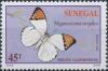 Colnect-2189-120-Great-Orange-Tip-Hebomoia-glaucippe.jpg