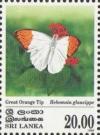 Colnect-2269-180-Great-Orange-Tip-Hebomoia-glaucippe.jpg