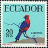 Colnect-489-522-Masked-Crimson-Tanager-Ramphocelus-nigrogularis-_---.jpg