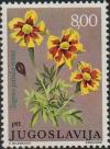 Colnect-505-431-Tagetes-patula-nana.jpg