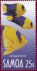 Colnect-1724-381-Bicolor-Angelfish-Centropyge-bicolor.jpg