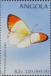 Colnect-2245-888-Great-Orange-Tip-Hebomoia-glaucippe.jpg