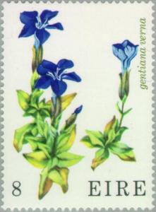 Colnect-128-543-Spring-Gentian-Gentiana-verna.jpg