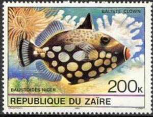 Colnect-1113-493-Clown-Triggerfish-Balistoides-niger.jpg