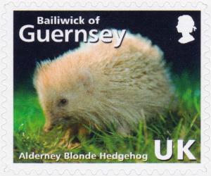 Colnect-4051-638-Blonde-Hedgehog-Erinaceus-europaeus.jpg