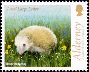 Colnect-5539-147-Blonde-Hedgehog-Erinaceus-europaeus.jpg