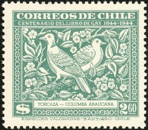 Colnect-6028-310-Chilean-Pigeon-Patagioenas-araucana.jpg