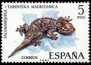 Colnect-647-475-Moorish-Wall-Gecko-Tarentola-mauritanica.jpg